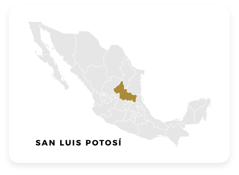 San Luis Potosí-Magna Selections-1@2x
