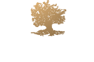 logo-baloyan-t-s